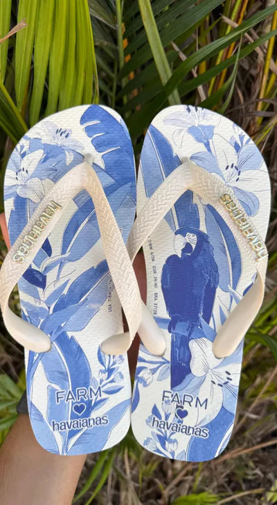 Chinelo Farm x Havaianas - Nuvens